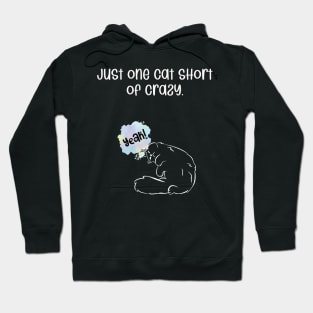 Just one cat short of crazy. Hoodie